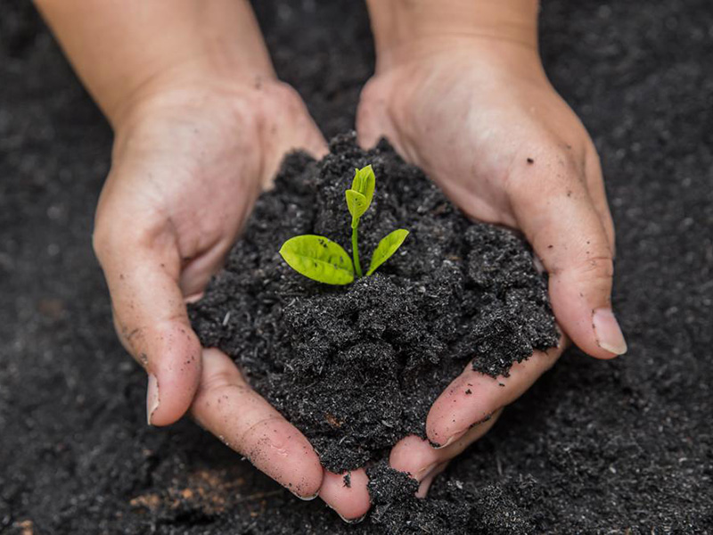 Compost Plassac