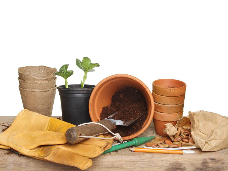 Amendement organique Plassac