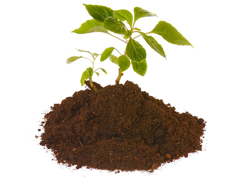 Compost Plassac